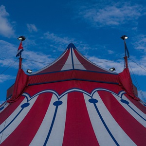 Circo